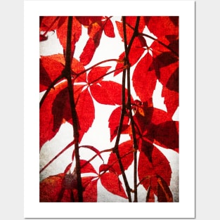 Red Leaves: Brilliant leafy pattern in scarlet and crimson with a canvas look Posters and Art